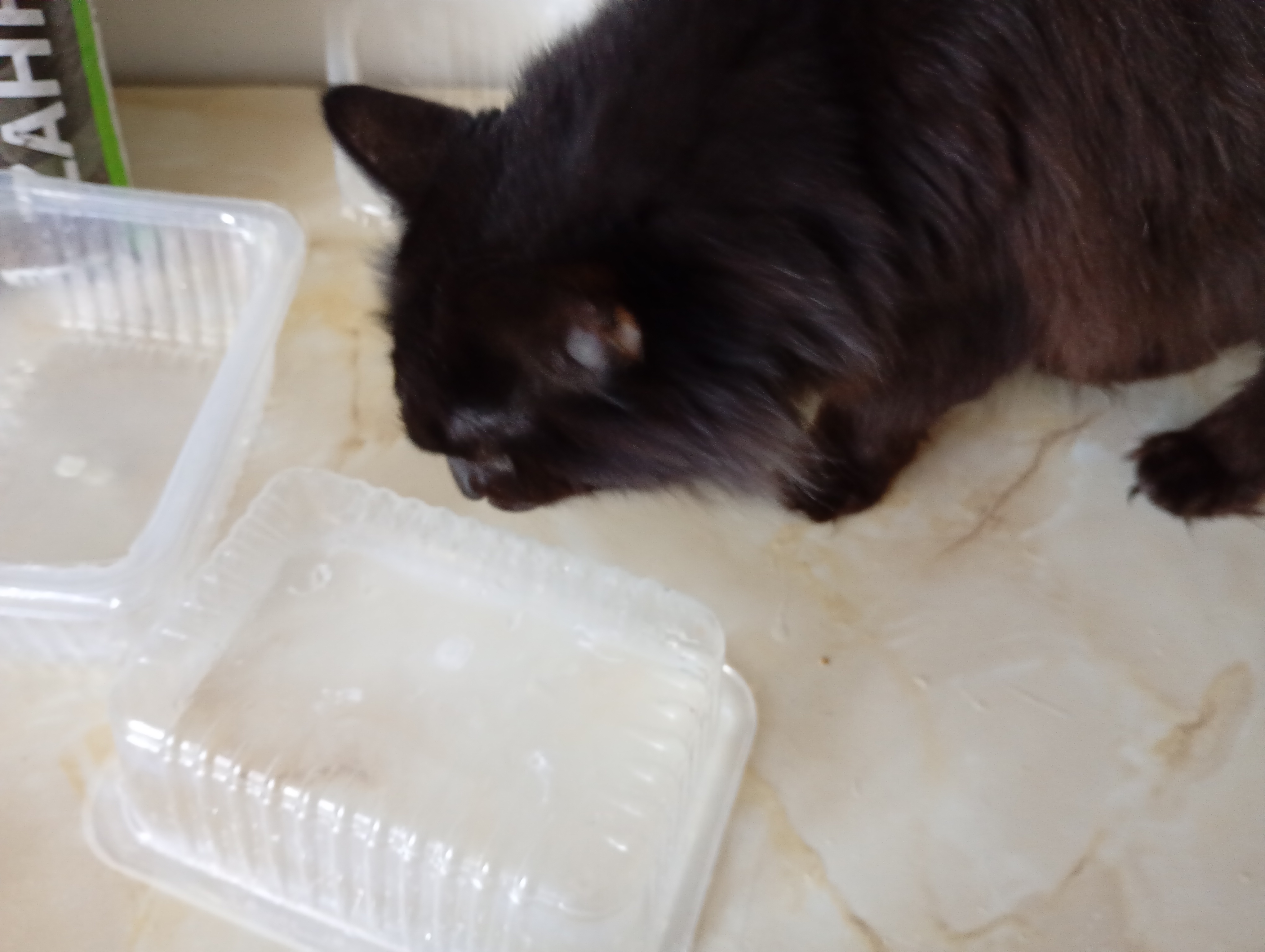 IMG_20251107_131002594_MFNR (1)