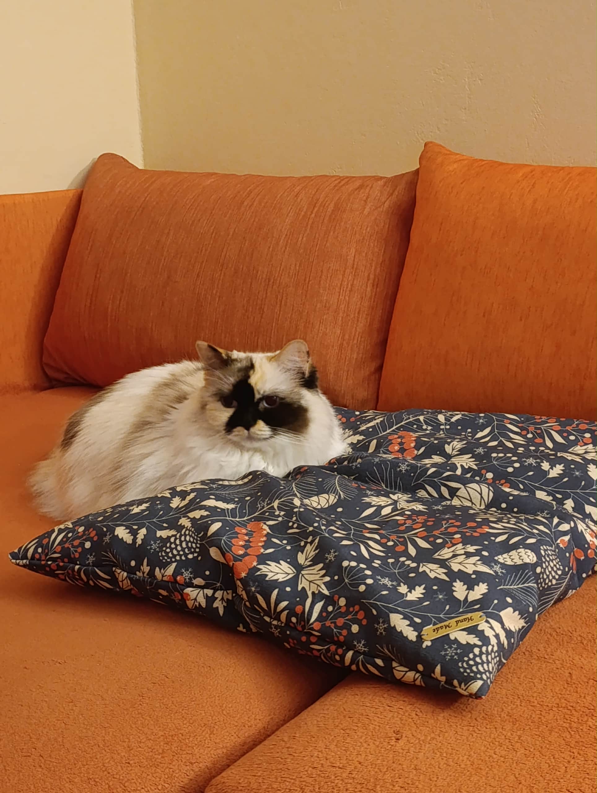 5436d5b5-58ce-451b-8590-571e5a1135ed