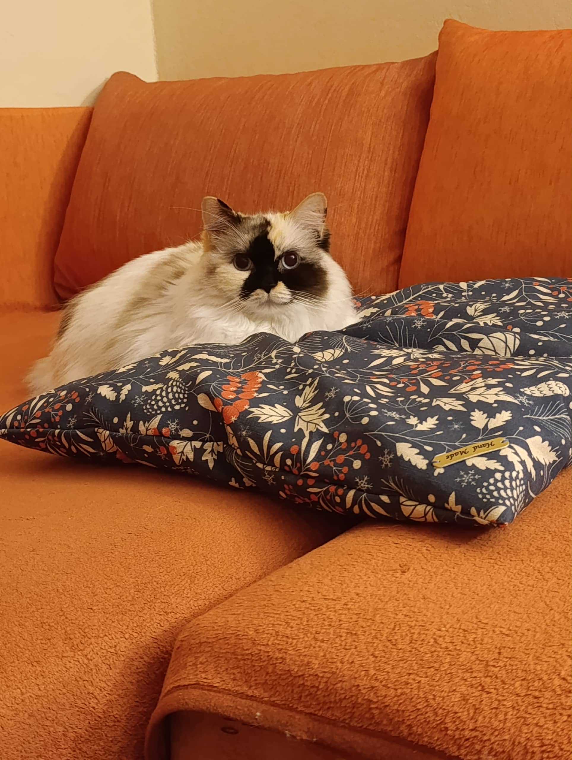 c269d41d-3fa9-4b97-8972-a6b589e9a340