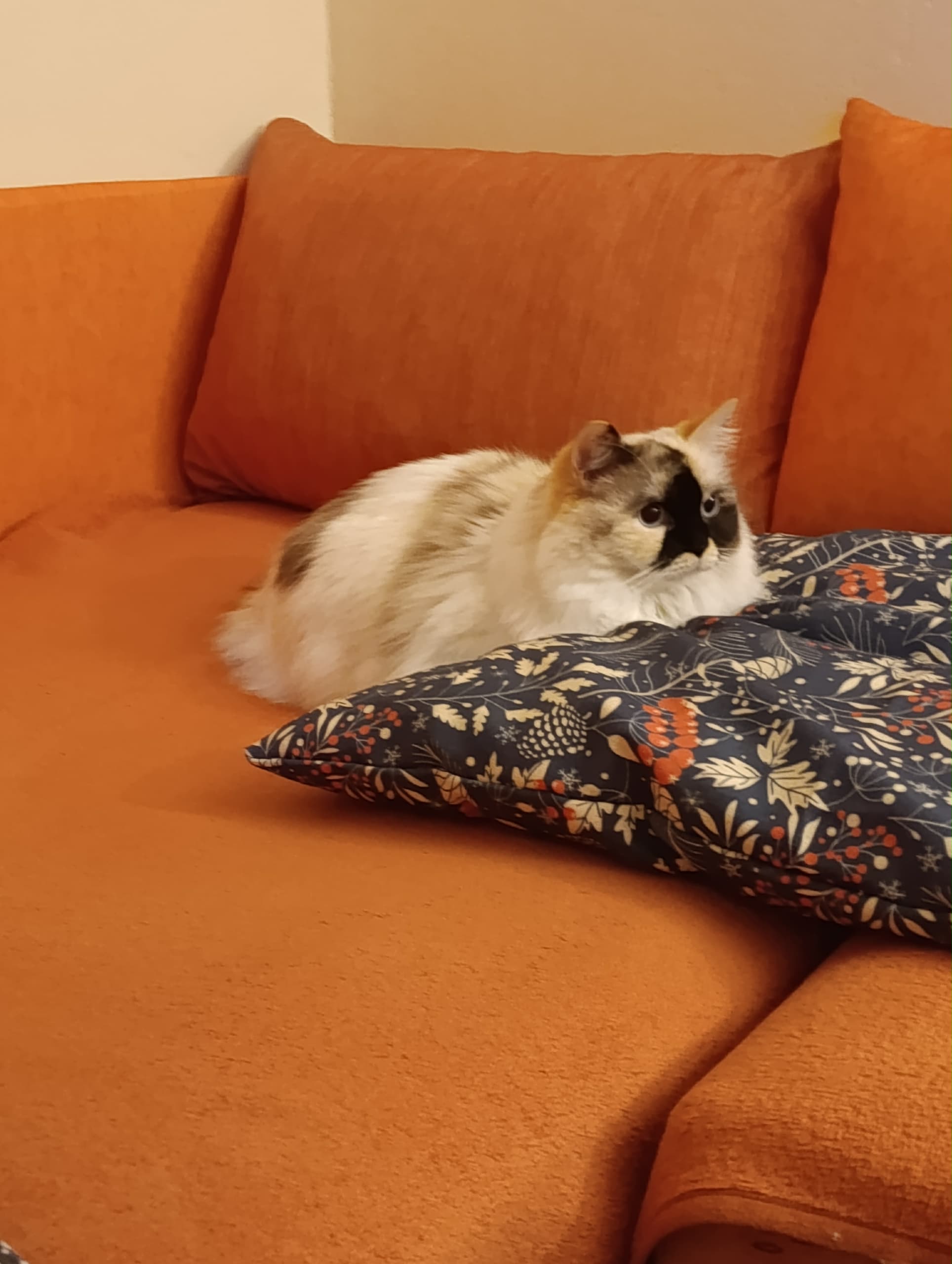 f90dc768-99f9-4628-a728-22f5be34985d