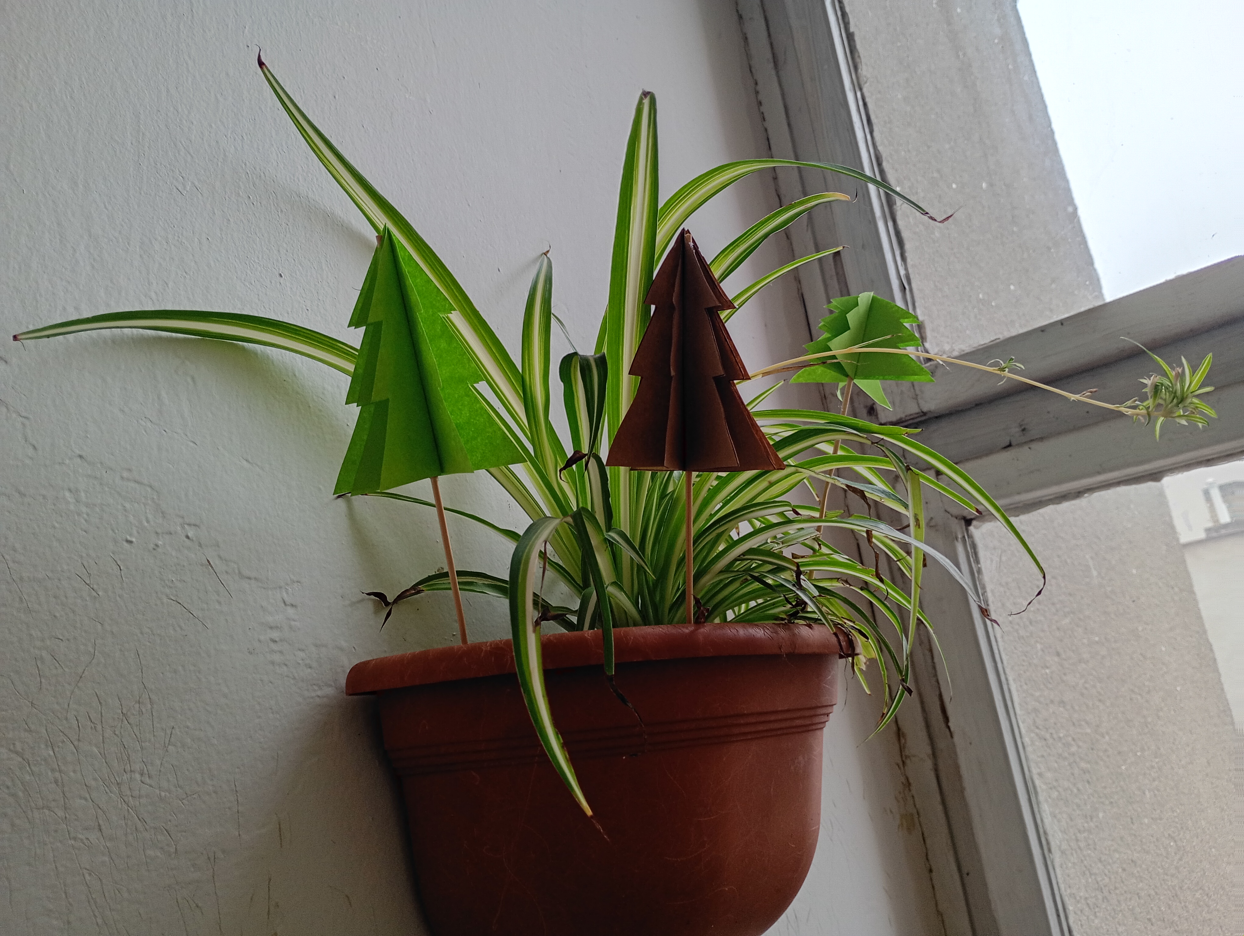 IMG_20251214_105231812_MFNR_HDR